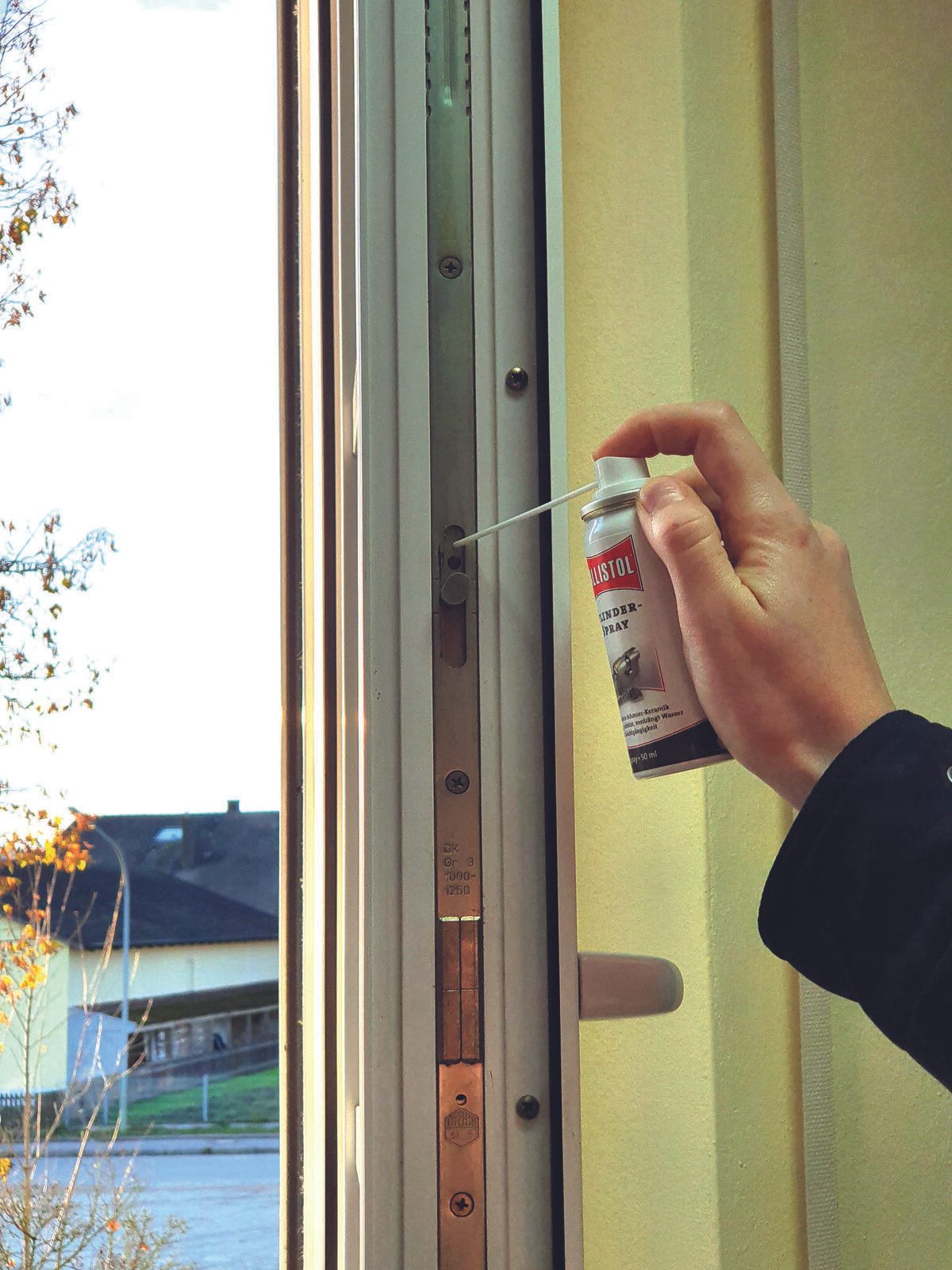BALLISTOL Schlossspray ZYLINDERSPRAY 50,0 ml BALLISTOL Schlossspray ZYLINDERSPRAY 50,0 ml
